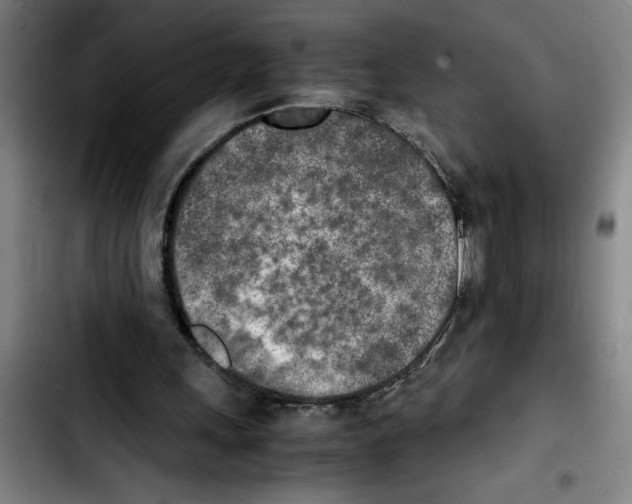 X0000103430243200810241105