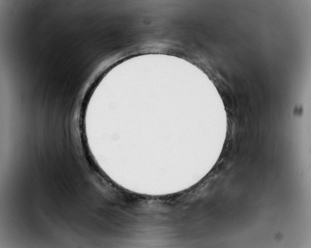 X0000103430244200810241105