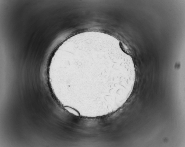 X0000103430245200810241105