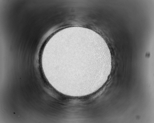 X0000103430246200810241105