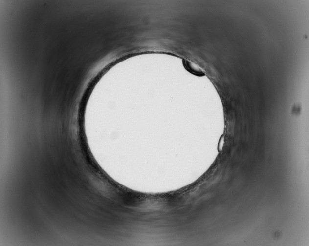 X0000103430248200810241105