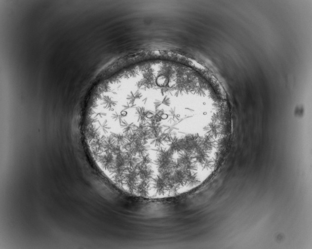 X0000103430249200810241105