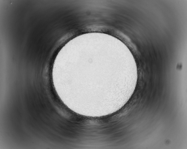 X0000103430250200810241105