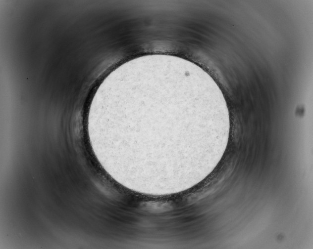 X0000103430251200810241105