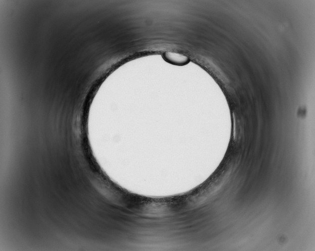 X0000103430252200810241105