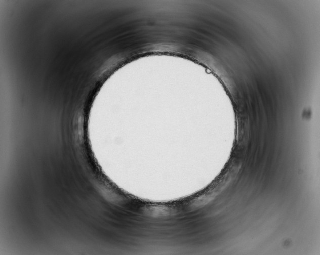 X0000103430253200810241105
