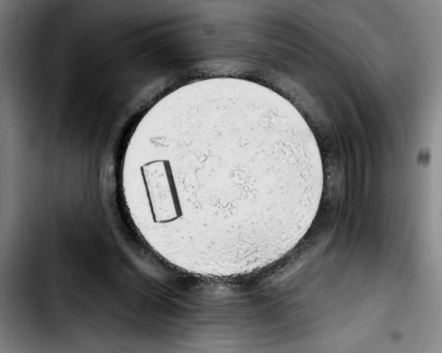 X0000103430254200810241105