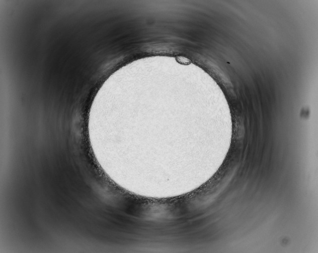 X0000103430255200810241105