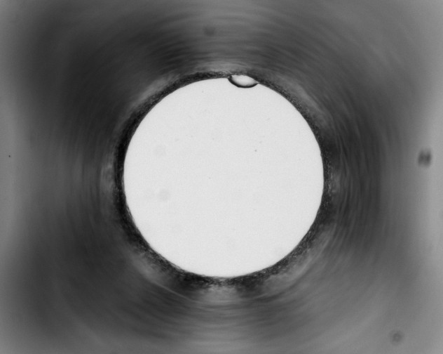 X0000103430256200810241105