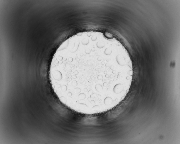 X0000103430257200810241105