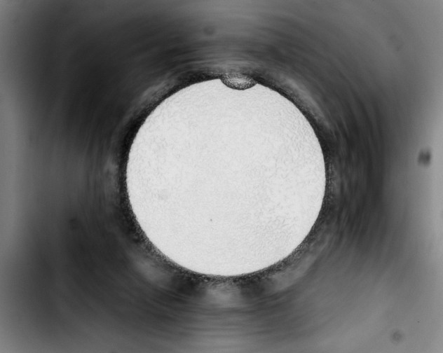 X0000103430258200810241105