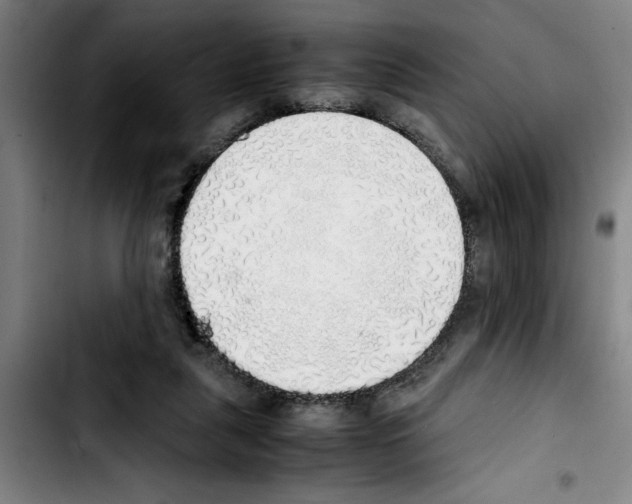 X0000103430259200810241105