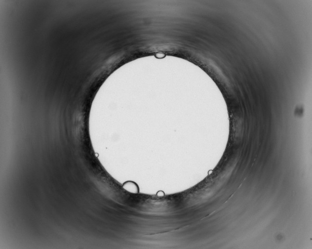 X0000103430260200810241105