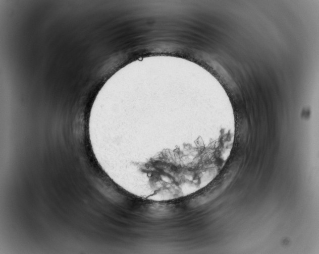 X0000103430261200810241105