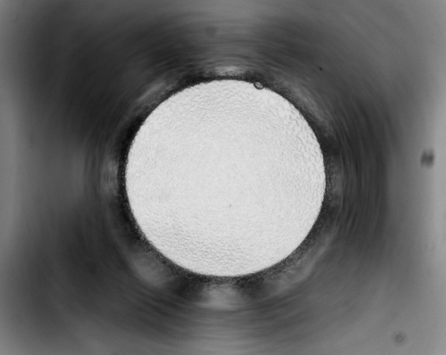 X0000103430262200810241105