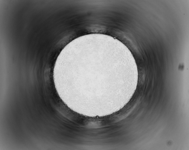 X0000103430263200810241105