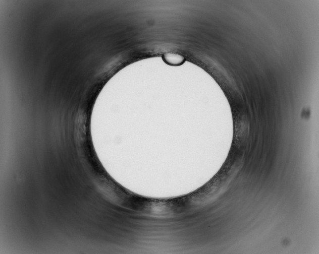 X0000103430264200810241105