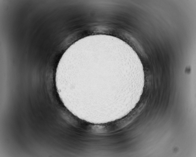 X0000103430265200810241105