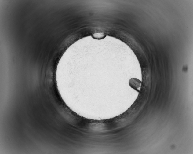 X0000103430266200810241105