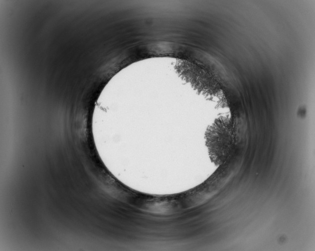 X0000103430267200810241105