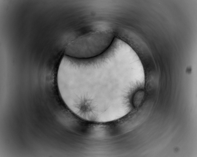 X0000103430268200810241106