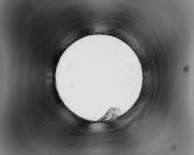 X0000103430269200810241106