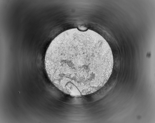 X0000103430270200810241106