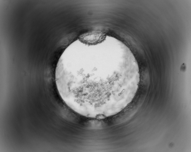 X0000103430272200810241106