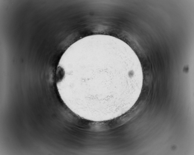 X0000103430273200810241106