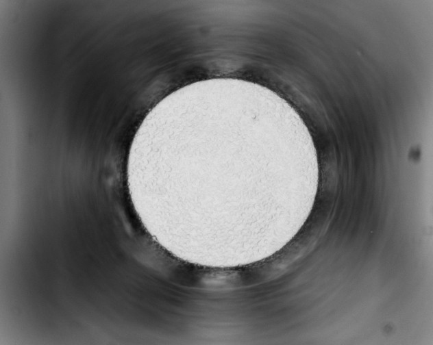 X0000103430274200810241106