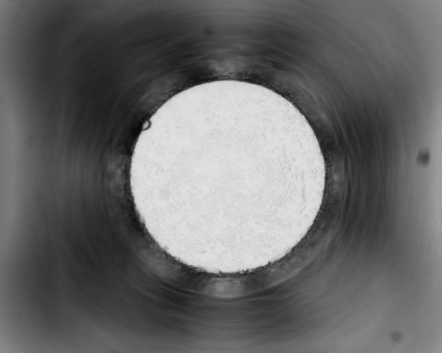 X0000103430275200810241106