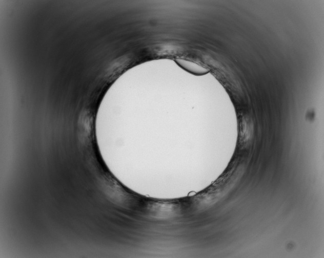 X0000103430276200810241106