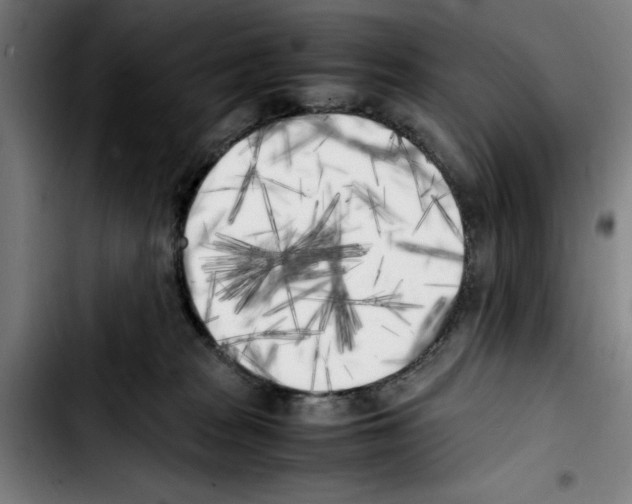 X0000103430277200810241106