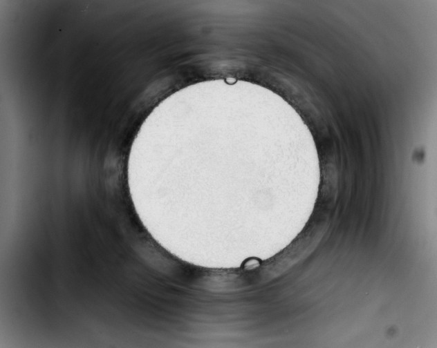 X0000103430278200810241106