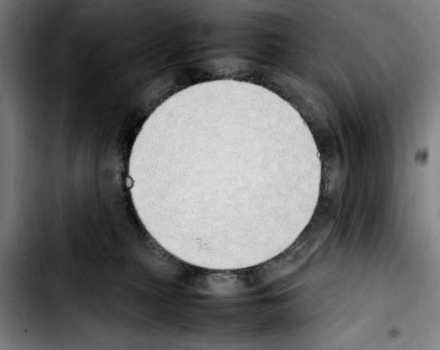 X0000103430279200810241106