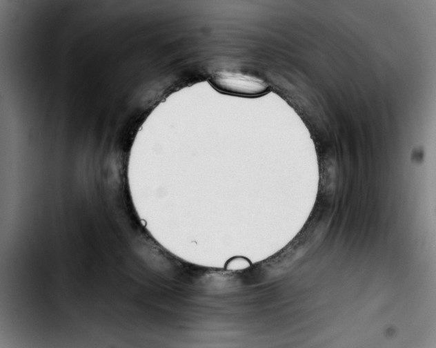 X0000103430280200810241106
