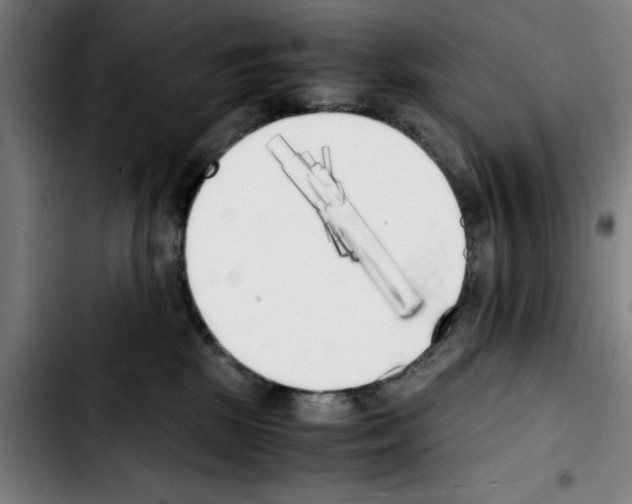 X0000103430281200810241106