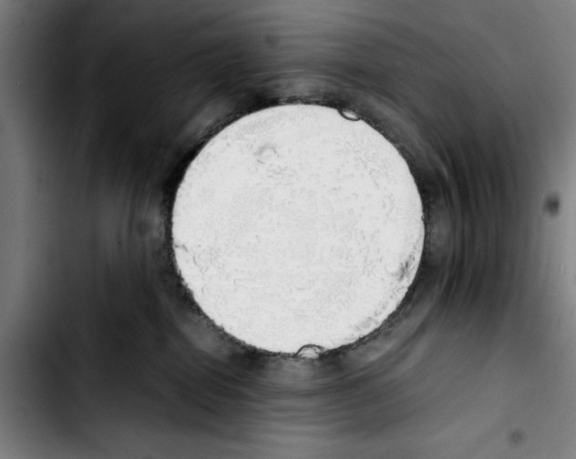 X0000103430282200810241106