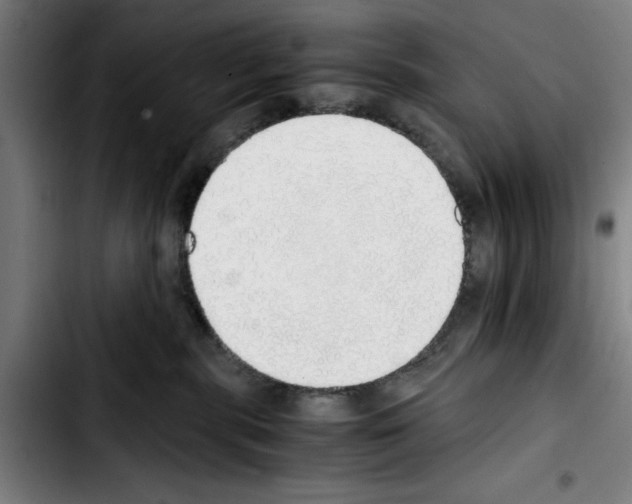 X0000103430283200810241106