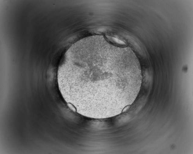 X0000103430284200810241106