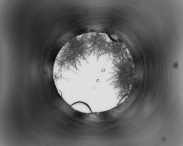 X0000103430285200810241106