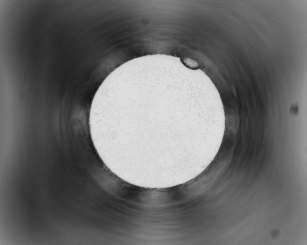 X0000103430286200810241106