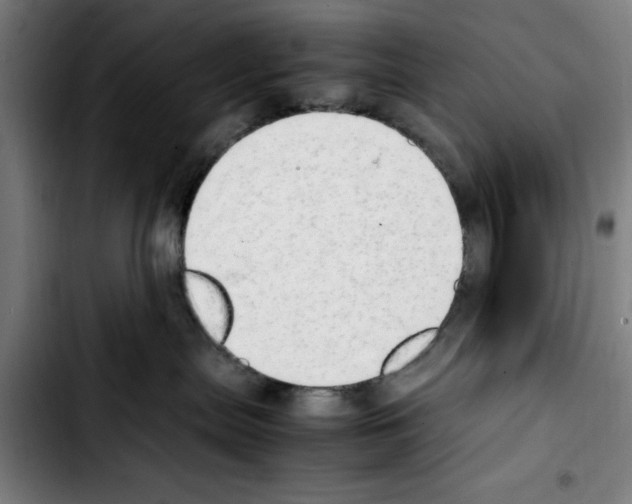 X0000103430287200810241106
