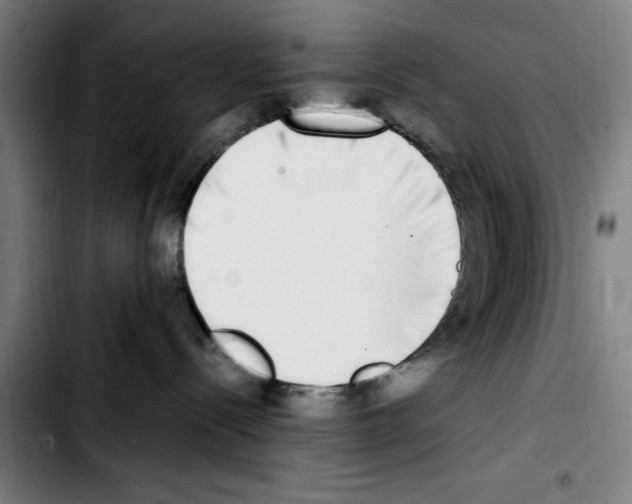 X0000103430288200810241106