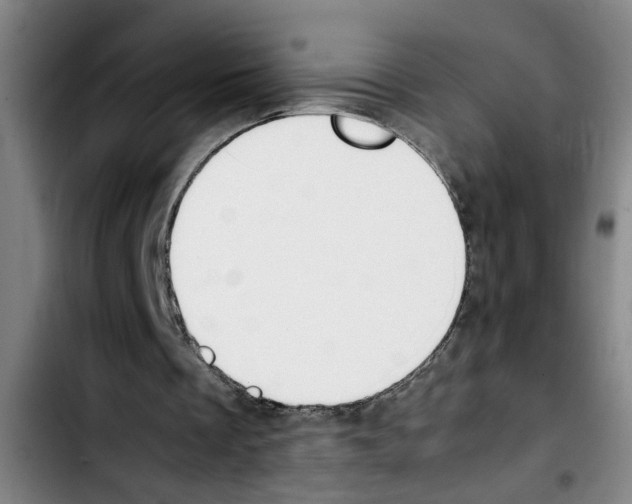 X0000103430289200810241105