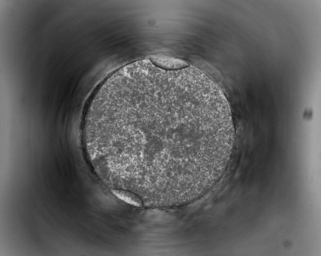 X0000103430290200810241105