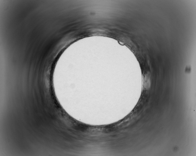 X0000103430291200810241105