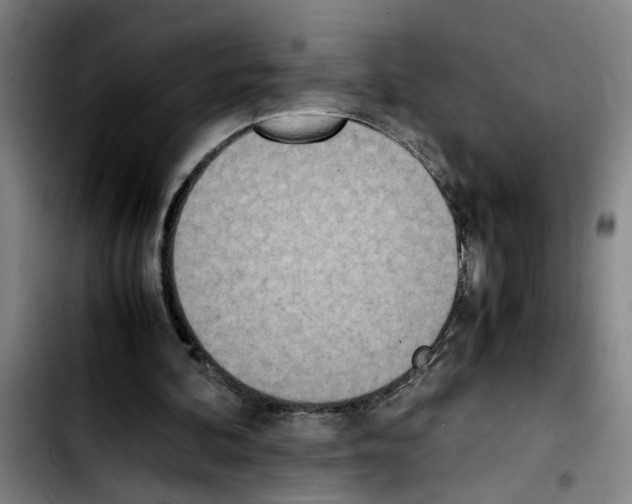 X0000103430292200810241105