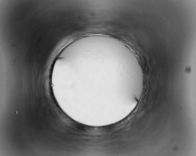 X0000103430293200810241105