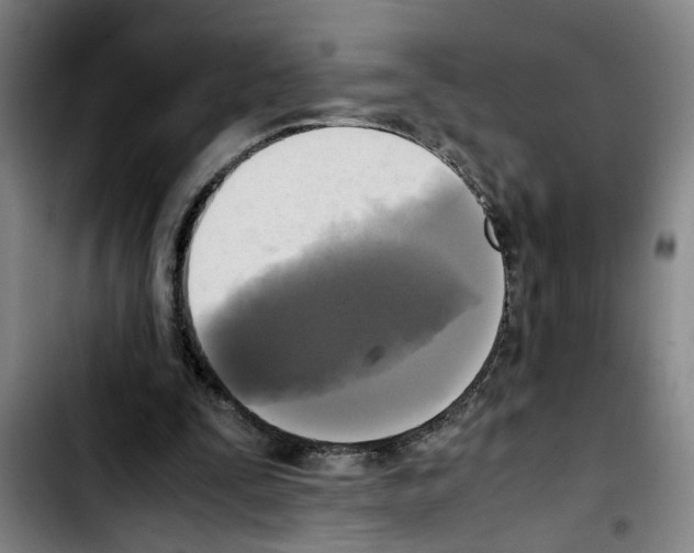 X0000103430295200810241105
